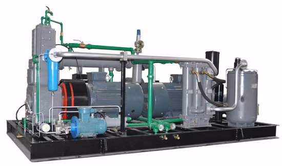 Splendid Pet Bottling High Pressure Air Compressor System Made in China